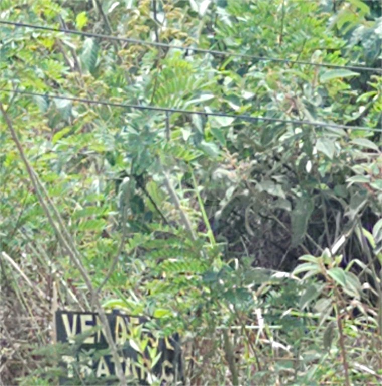Terreno à venda em Serra da Cantareira, Mairiporã, SP