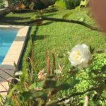Casa à venda com 5 quartos, sendo 4 suítes, no condomínio Jardim Vitória Régia, São Paulo - SP
