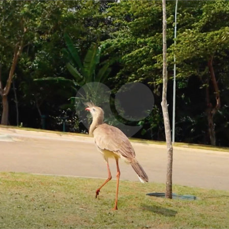 Terreno à venda no condomínio Up Residencial, Votorantim - SP