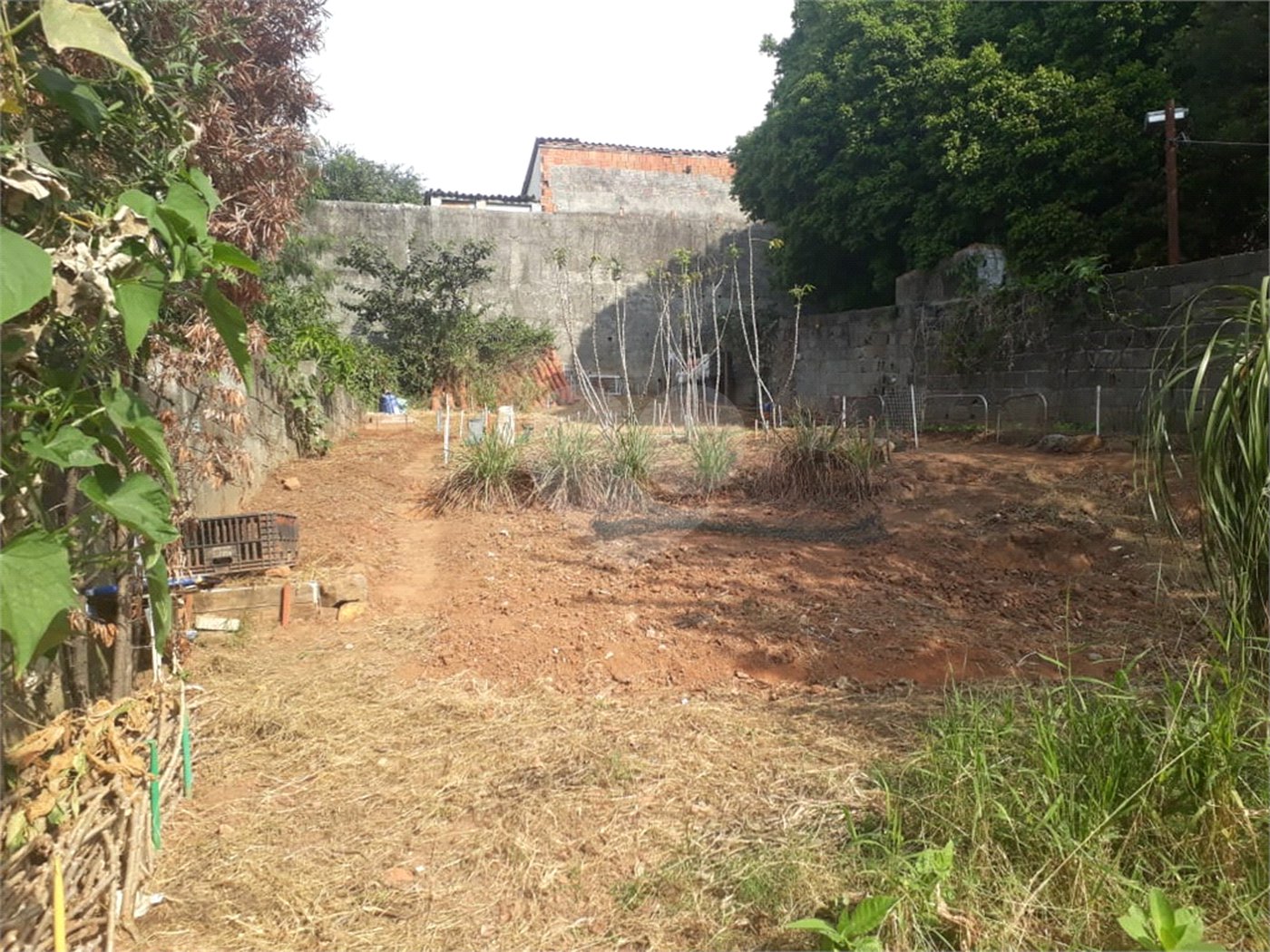 Terreno à venda em Água Fria, São Paulo, SP