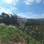 Área de Terra à venda com 1 suíte em Cocais, Itatiba, SP