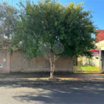 Terreno à venda em Vila Harmonia, Araraquara, SP
