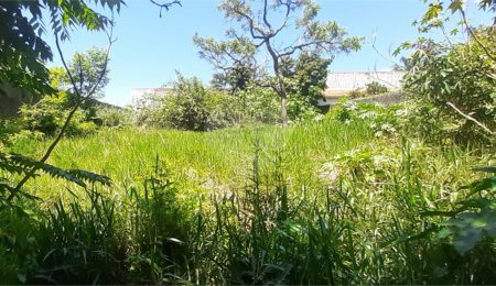Terreno à venda em Jardim Shangri-lá, Atibaia, SP