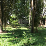 Terreno à venda em Lar São Paulo, São Paulo, SP