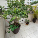 Apartamento Garden na Mooca com 322m² com 4 dormitórios 5 vagas Estuda Permuta