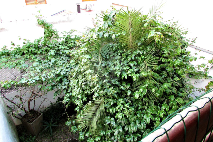 Casa à venda com 3 suítes no condomínio City Recanto Anastácio - Sacra, São Paulo - SP