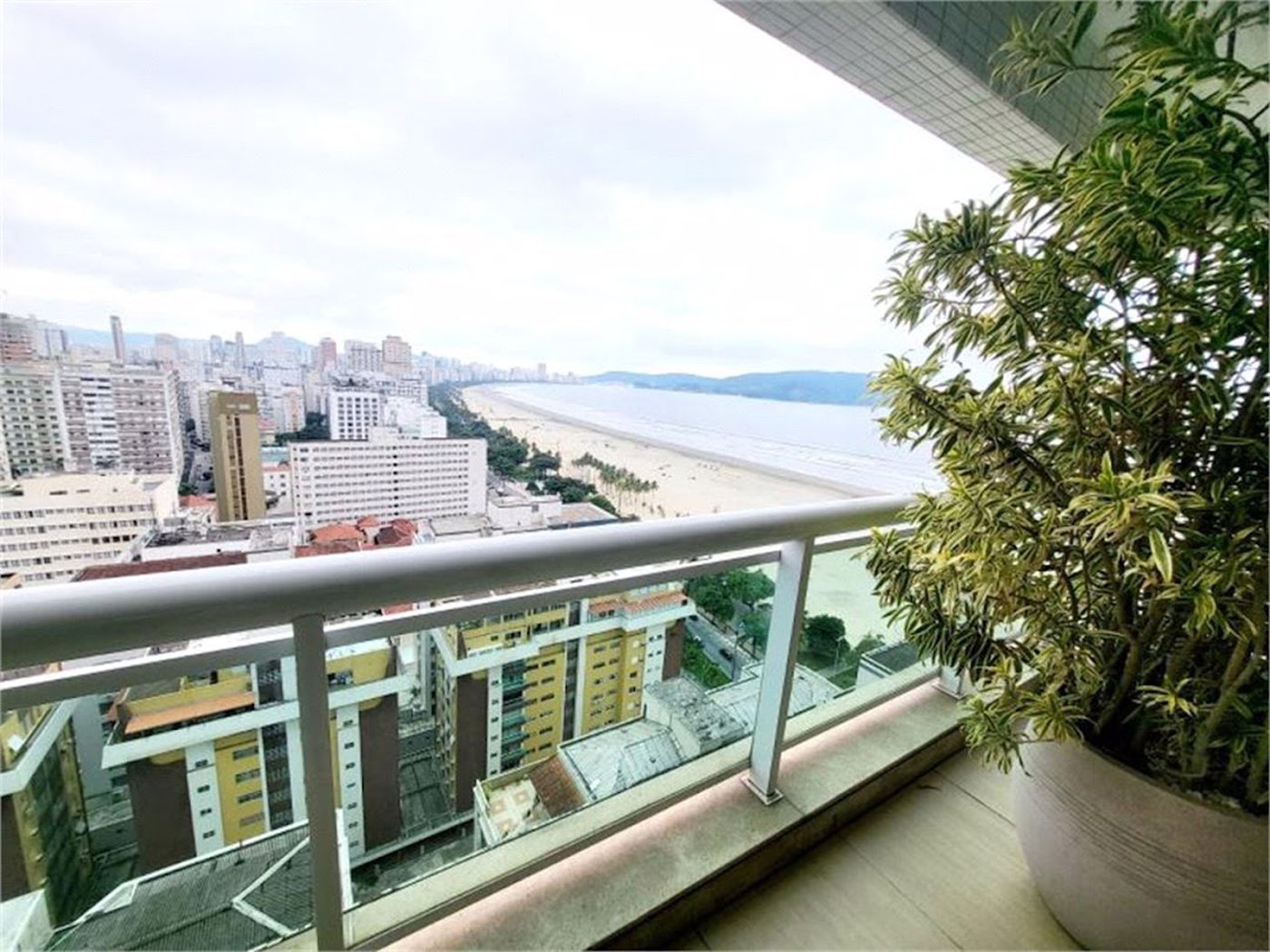 Apartamento Residencial à venda, Gonzaga, Santos - AP1684.