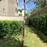 Apartamento à venda com 3 suítes em Bela Aliança, São Paulo, SP
