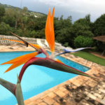 Casa à venda com 5 quartos, sendo 1 suíte, em Portal das Acácias, Santana de Parnaíba, SP