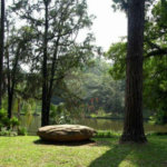 Terreno à venda em Horto Florestal, São Paulo, SP
