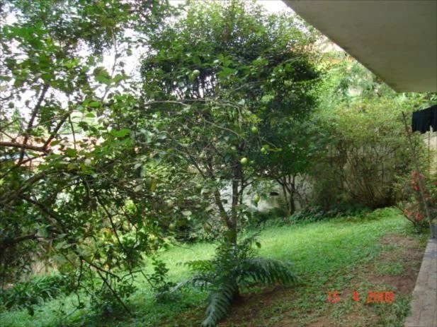 Casa Térrea à venda com 4 quartos, sendo 2 suítes, em Vila Tramontano, São Paulo, SP