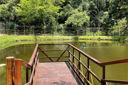 Apartamento à venda com 2 quartos em Vila Domingues, Votorantim, SP