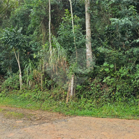 Terreno à venda em Pavão (canguera), São Roque, SP