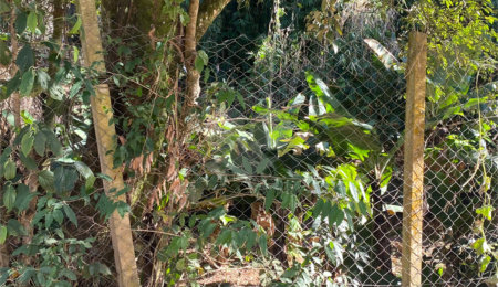 Terreno à venda em Luiz Fagundes, Mairiporã, SP