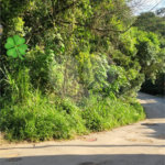 Loteamento à venda em Canjica (terra Preta), Mairiporã, SP
