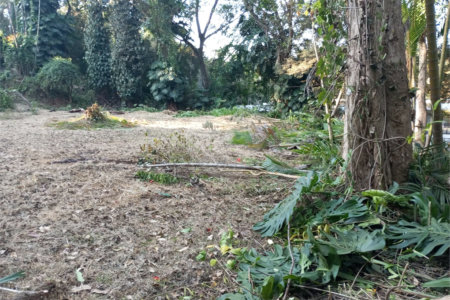 Terreno à venda com 1 suíte em Alto da Boa Vista, São Paulo, SP