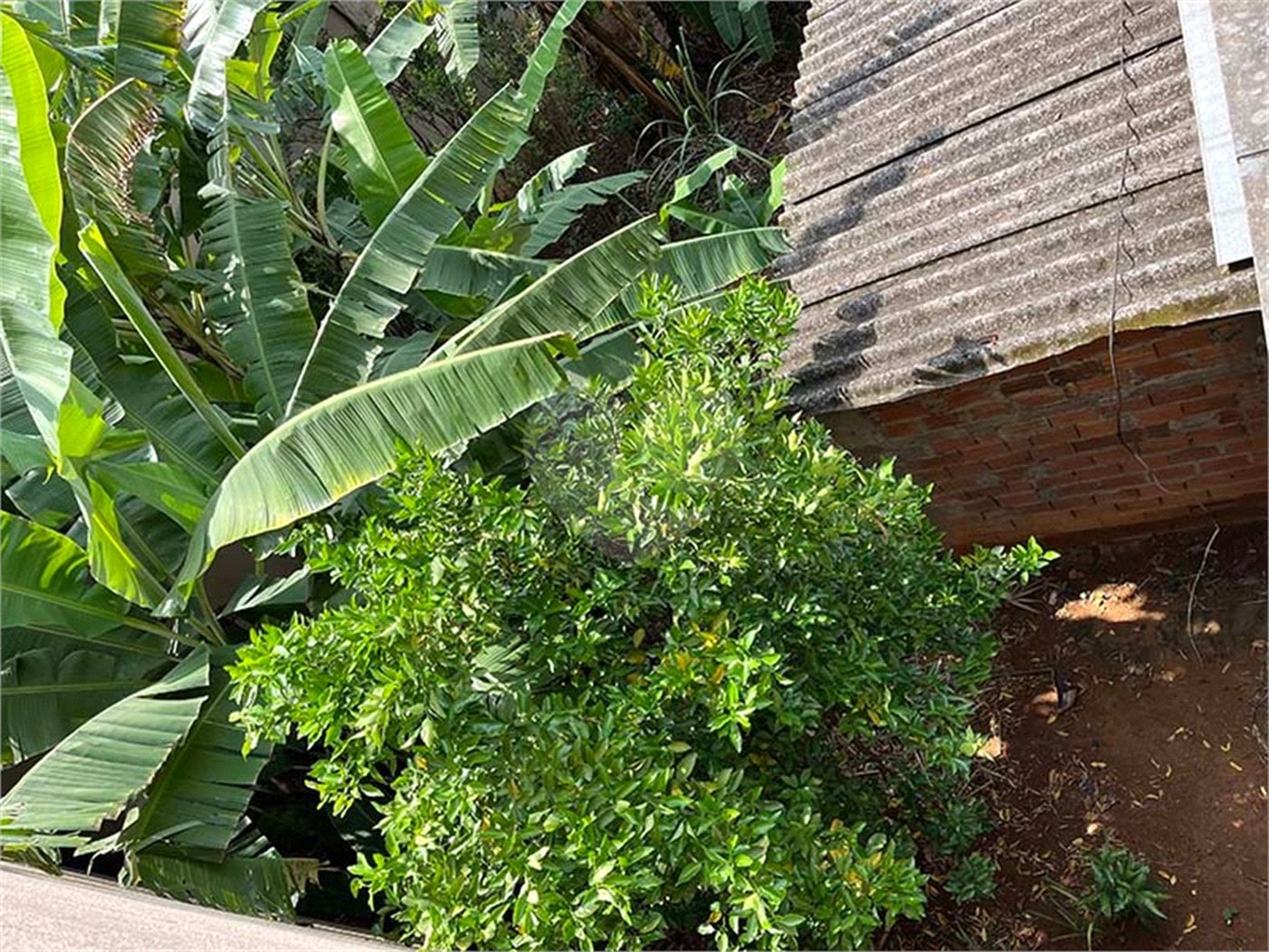 Terreno à venda em Santana, São Paulo, SP