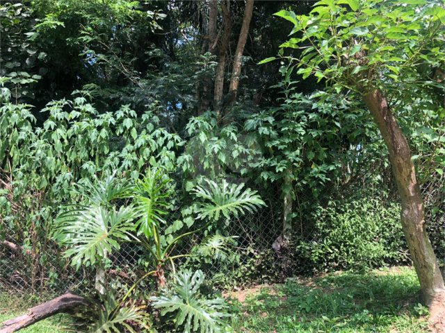 Terreno à venda em Serra da Cantareira, Mairiporã, SP