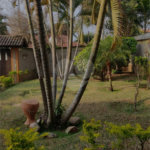 Sobrado à venda com 3 quartos, sendo 1 suíte, em Esplanada do Carmo, Jarinu, SP