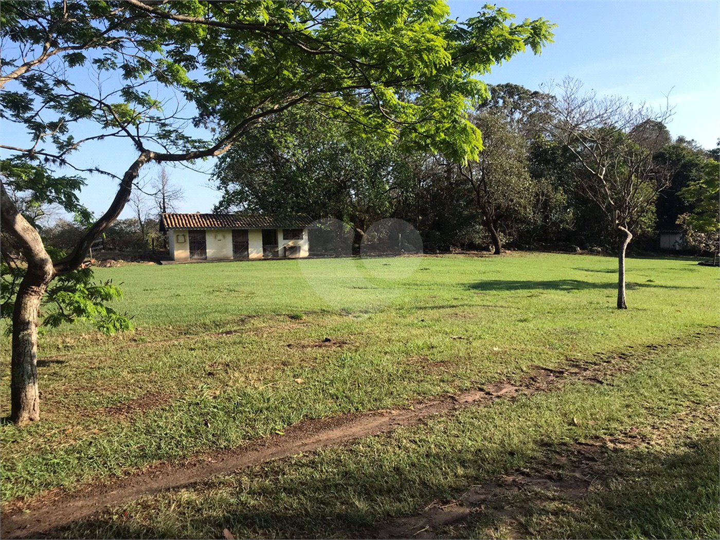 Sítio à venda com 6 quartos, sendo 1 suíte, em Sítio Santa Terezinha, Salto, SP