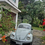 Terreno à venda ou para alugar em Horto, São Paulo, SP