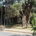 Casa à venda com 4 quartos, sendo 2 suítes,  em Jardim Leonor, São Paulo, SP