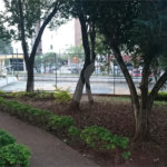 Apartamento 02 dormitórios à venda na Vila Mariana.