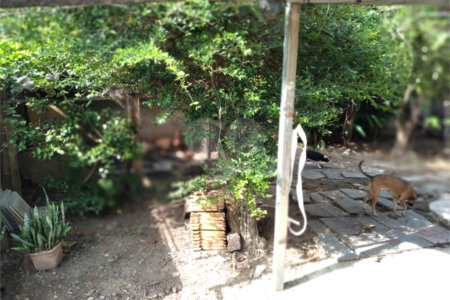 Terreno à venda com 1 quarto em Vila Mazzei, São Paulo, SP