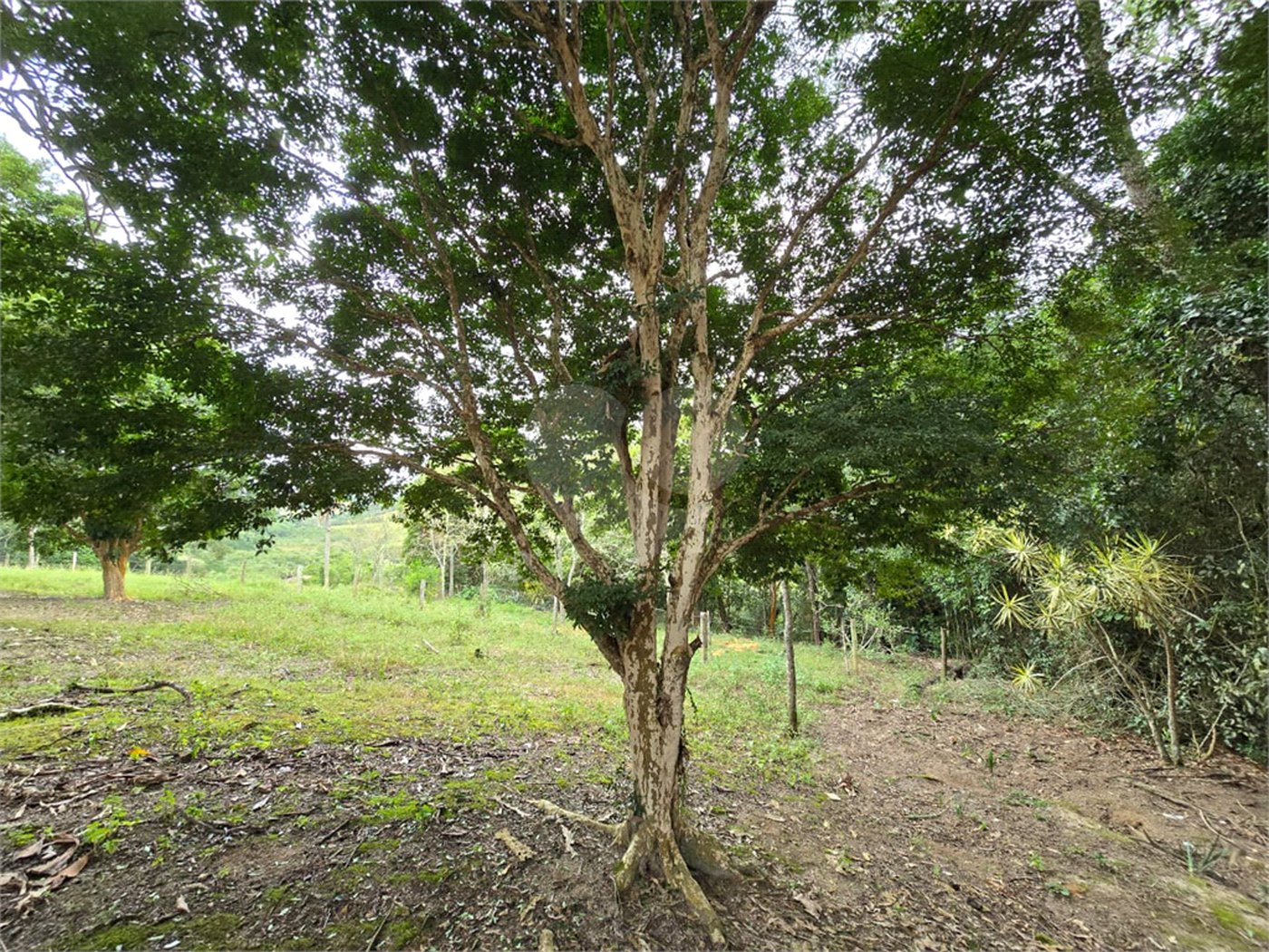 Sítio à venda com 6 quartos, sendo 5 suítes, em Área Rural de Itapetininga, Itapetininga, SP