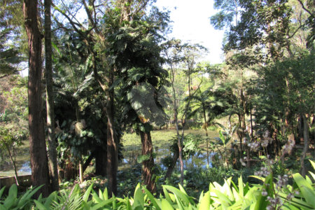 Terreno à venda no condomínio Chácara Flora, São Paulo - SP