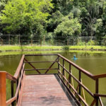 Apartamento à venda com 2 quartos em Vila Domingues, Votorantim, SP