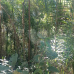 Terreno à venda no condomínio Sausalito, Mairiporã - SP