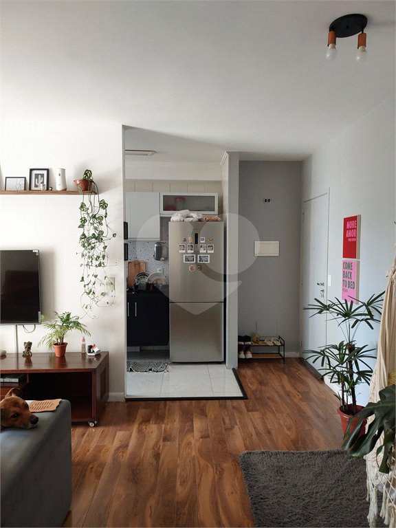 Apartamento à venda com 3 quartos, sendo 1 suíte, em Tucuruvi, São Paulo, SP