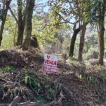 Terreno à venda em Horto, São Paulo, SP