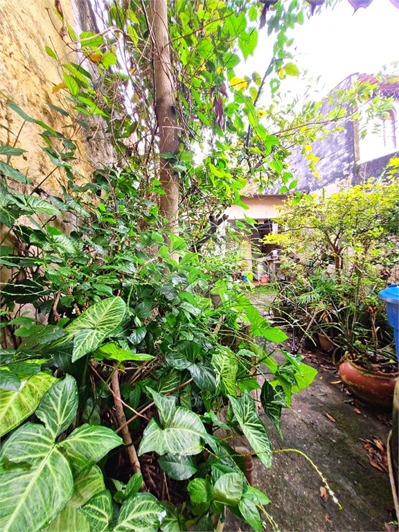 Casa à venda com 3 quartos, sendo 1 suíte, em Horto Florestal, São Paulo, SP