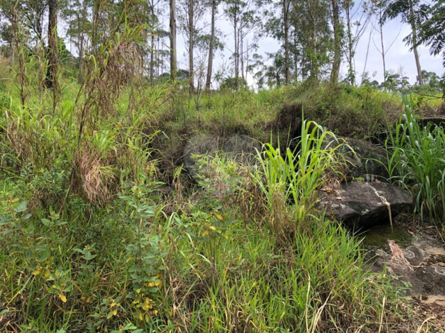 Terreno à venda em Serra da Cantareira, Mairiporã, SP