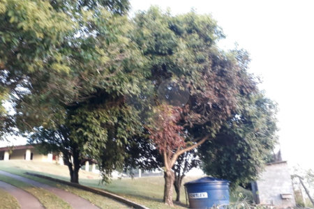 Linda chácara em Pinhalzinho