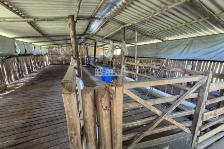 Sítio à venda com 7 alqueires, em Serra do Capetinga, Itapeva - MG