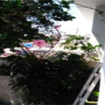 Casa Térrea à venda com 2 quartos em Vila Nivi, São Paulo, SP