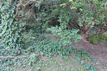 Terreno à venda em Tucuruvi, São Paulo, SP