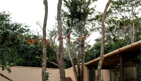 Casa à venda com 9 suítes em Marina, Armação dos Búzios, RJ