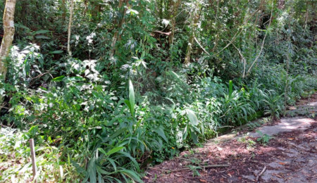 Terreno à venda no condomínio Sausalito, Mairiporã - SP