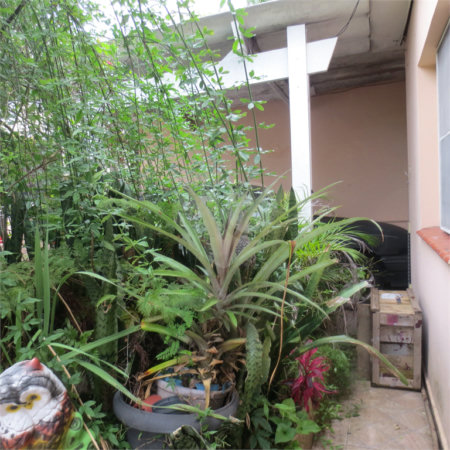Casa Térrea à venda com 4 quartos em Vila da Saúde, São Paulo, SP