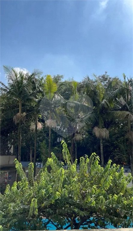 Apartamento à venda com 3 quartos, sendo 1 suíte, em Jardim Colombo, São Paulo, SP