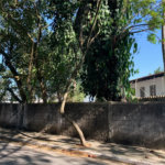 Terreno à venda em Vila Tramontano, São Paulo, SP