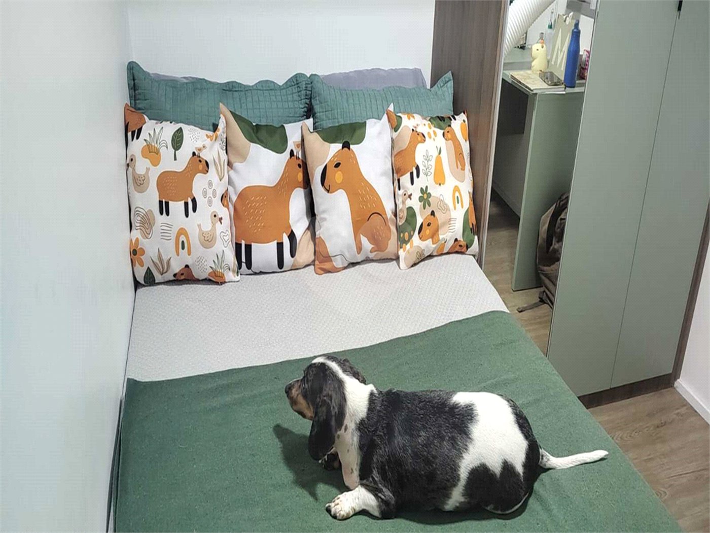 Apartamento à venda com 2 quartos em Santana, São Paulo, SP