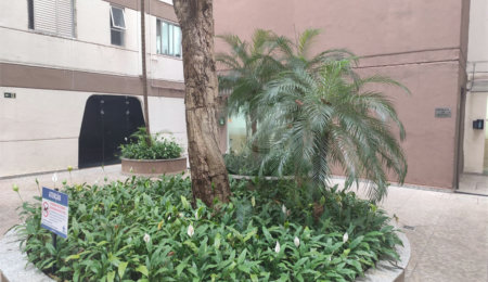 Apartamento à venda com 2 quartos em Jardim Íris, São Paulo, SP