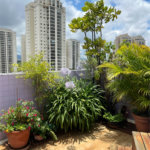 Cobertura à venda com 3 quartos, sendo 2 suítes, em Bela Aliança, São Paulo, SP