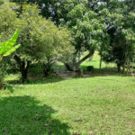 Terreno à venda em Cachoeira, Vinhedo, SP