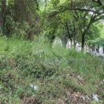 Terreno à venda ou para alugar no Centro, Atibaia, SP
